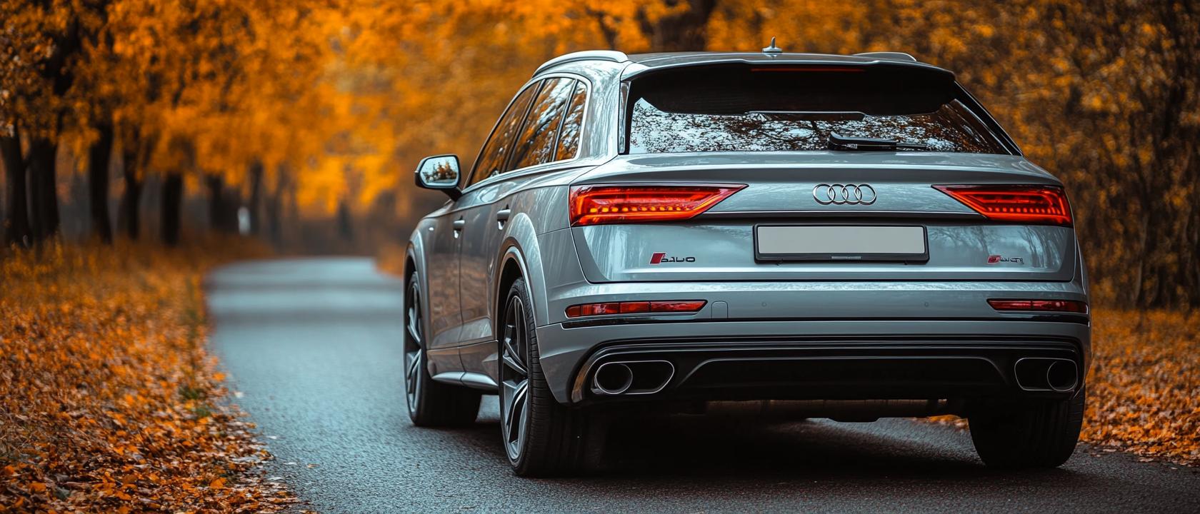 P1063 ошибка ауди, 004195 ошибка ауди q7, P1063 ошибка ауди, 004195 ошибка ауди q7, P1063 ошибка ауди